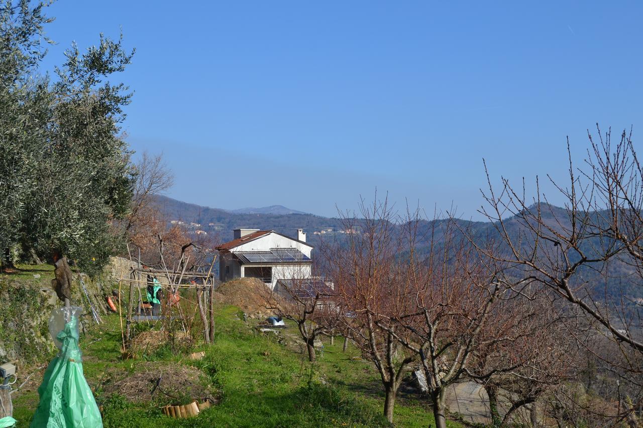 Joie De Vivre Bed and Breakfast Calice Ligure Eksteriør billede